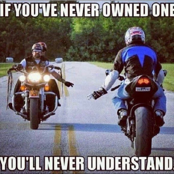 Meet your Posher, Natalie - Picture 15 of 16